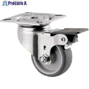 �e���e�L���X�^�[ �v���[�g���L���X�^�[�gAGILA�h(�G���X�g�}�[�ԁE�X�e�����X����) ��50 ���ݎ�(�z�C�[�����b�N�t) 7475PJO050P40 1�� ����255-0737