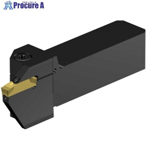 SANDVIK CoroCut2 QS�V�����N �[�ʍa������H�p(480) C2A-QS25-RFK18B-220CB 1�� ����567-0777 �y�����s�x���ρz ��KO521