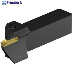SANDVIK CoroCut2 QS�V�����N �[�ʍa������H�p(480) C2A-QS25-RFK18B-088CB 1�� ����567-5515 �y�����s�x���ρz ��KO521