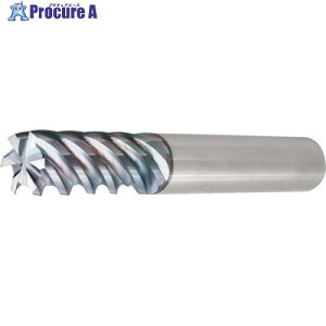 ���Z�� ���\�� ������E�d�グ���H�p�G���h�~�� 6/8PFK �����O 6PFK100-450 1�{ ����825-0217 �y�����s�x���ρz ��MA515