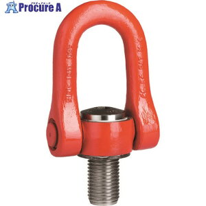 EAGLE CODIPRO {gp׏d16.0t DSS-M48 1 131-1457yϕszysxρz