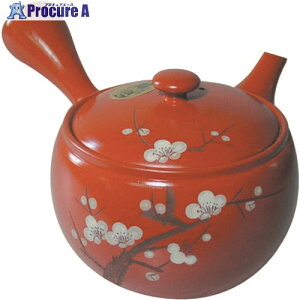 TKG  Ԓ Y-1210 ETY0301 1 138-4898 ysxρz