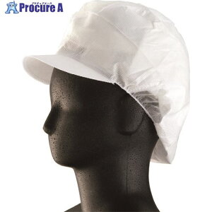 TKG  ѓdEgLbv(100) 68113T LTCY SKY3502 1 192-6969 ysxρz