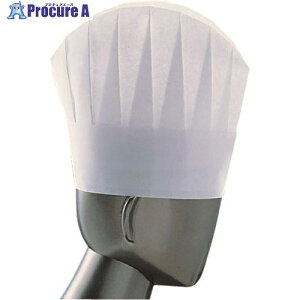 TKG �p�� �p���X ���C�g�n�b�g N33110 (10����) SHT39 1�� ����193-0116�y������ϕs�z�y�����s�x���ρz