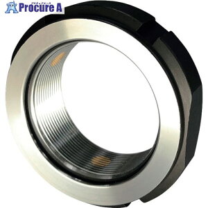 NIKKI bNibg SFZV[Y M55X2.0P SFZ55X2.0P 1 227-5819yϕszysxρz