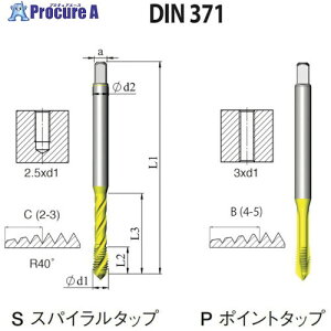 NOGA DIN-371 ��ʗp�X�p�C�����^�b�v6-32UNC XT5 SD1C632UNC2B5XT 10�{ ����504-9699 �y�����s�x���ρz