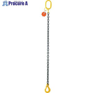 EAGLE �X�����O�t�b�N(�N���r�X�^)�t�`�F�[��(�V���O���^�C�v) SSHD-S-0.5-1.0M-V 1�� ����851-6308 �y�����s�x���ρz