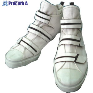 ���i �����v�� �z���C�g 23.0cm V1200W-23.0 1�� ����134-1521 �y�����s�x���ρz