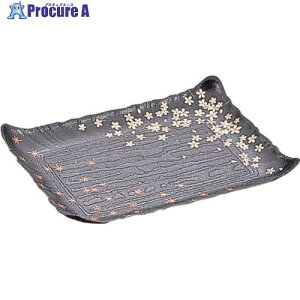 TKG jVL ve } tH (10) XNS0204 1 192-8670 ysxρz