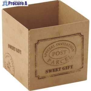 TKG V L[uJbv EbfB[(100) 55 CB21 WKY2502 1 193-4839yϕszysxρz