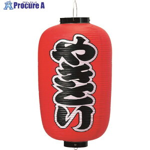 TKG JhL rj[ 12^ ₫Ƃ b251 YTY04003 1 193-6572 ysxρz