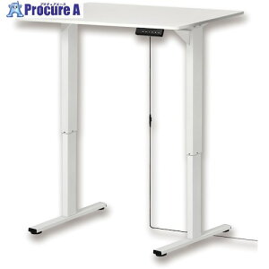 ASKA d~fXN V1000mm zCg EDK10W 1 601-2871 ԏn