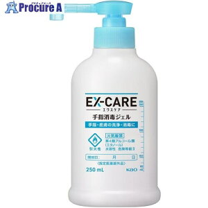 Kao ƖpEX-CARE wŃWF 250mL 374943 10 352-1545yϕszysxρz