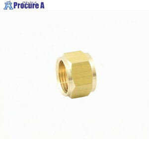 ASOH �z�[�X�W���C���g�p�܃i�b�g C3604(RoHS�w�ߑ����i) ��12.7(PF1/2) HSN-1440R 1�� ����270-8189 �y�����s�x���ρz