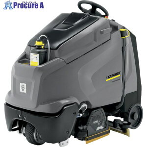 Pq[ 莮@ B 95 RS BR75/95RS BP DOSE 1 114-3216yϕszԏn