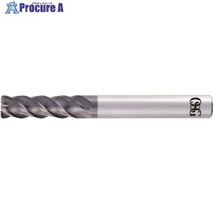 OSG dhU^Gh~ O` WAX^Cv AE-VML 8556364 AE-VML 10X40XR0.5 (8556364) 1{ 228-3162 ysxρz YA513