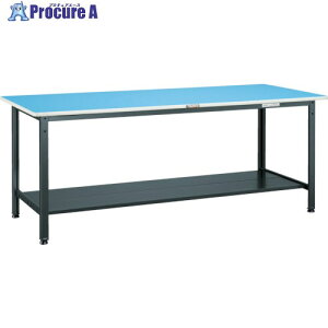 TRUSCO �y�׏d��Ƒ�(250kg)BE�^ 1500X600XH740 ���I2���t �_�[�N�O���[�F BE-1560LT2 1�� ����454-3700