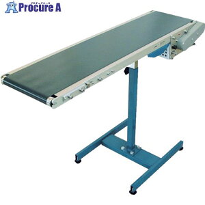 TS �y�׏d�p�x���g�R���x�� �X�^���_�[�h�^�C�v BC�]100W×3000L-A90 BC-100WX3000L-A90 1�� ����500-0725 �y�����s�x���ρz���l��l����s��