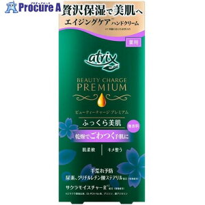 Kao AgbNX r[eB[`[Wv~A ӂPA 60g 394422 24 530-4934 ysxρz