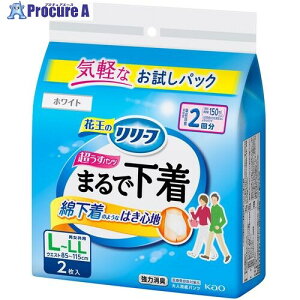 Kao [t pc^Cv ܂ŉ 2 L2 385062 24 530-4956yϕszysxρz