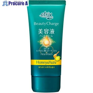 Kao AgbNX r[eB[`[W ݂͂䂸̍ 342287 24 530-4988 ysxρz