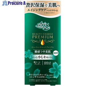 Kao AgbNX r[eB[`[Wv~A uPA  60g 371690 24 530-5001 ysxρz