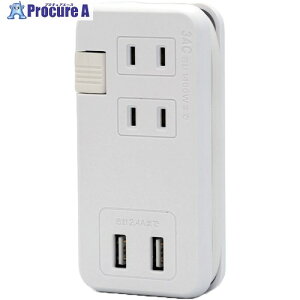 Ώ\ USBd^bv(AC3/Type-A|[g2) zCg 55×111×23mm 353053 1 661-6737 ysxρz