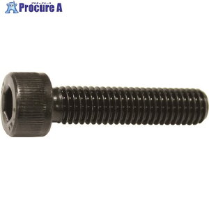 �R�m�G �Z�p���t�{���g�S�˂� M22x65(12�{��) CS-2265 1�� ����157-4148 �y�����s�x���ρz