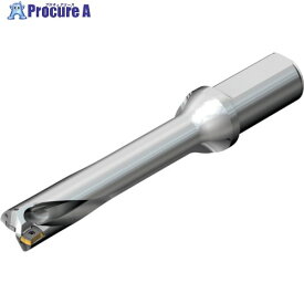 SANDVIK コロドリルDS20刃先交換式ドリル(465) DS20-D1588LX19-05 (465) 1本 ■▼216-0986 【送料都度見積】 ●KO521