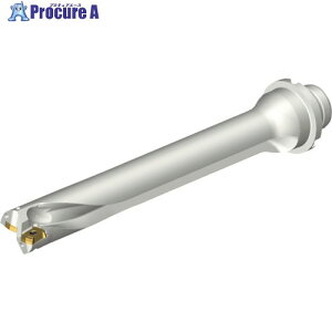SANDVIK �R���h����DS20�n��������h����(465) DS20-D2380DM25-07 (465) 1�{ ����216-0989 �y�����s�x���ρz ��KO521