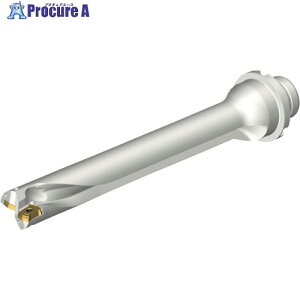 SANDVIK �R���h����DS20�n��������h����(465) DS20-D2223DM25-07 (465) 1�{ ����216-0998 �y�����s�x���ρz ��KO521