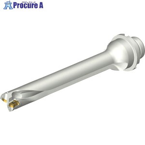 SANDVIK �R���h����DS20�n��������h����(465) DS20-D2000DM25-07 (465) 1�{ ����216-2500 �y�����s�x���ρz ��KO521