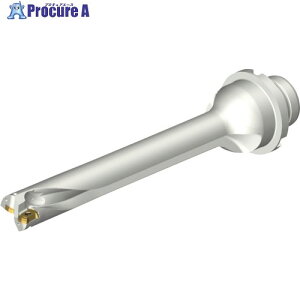 SANDVIK �R���h����DS20�n��������h����(465) DS20-D1745DM25-07 (465) 1�{ ����216-2529 �y�����s�x���ρz ��KO521