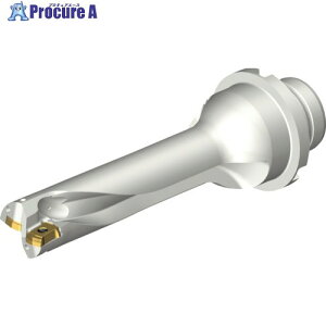 SANDVIK �R���h����DS20�n��������h����(465) DS20-D1900DM25-04 (465) 1�{ ����216-2553 �y�����s�x���ρz ��KO521