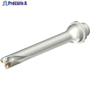 SANDVIK �R���h����DS20�n��������h����(465) DS20-D2100DM25-07 (465) 1�{ ����216-2557 �y�����s�x���ρz ��KO521