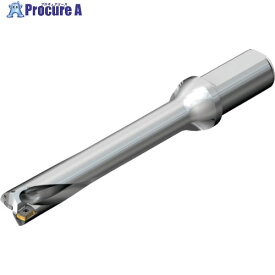 SANDVIK コロドリルDS20刃先交換式ドリル(465) DS20-D1588LX19-06 (465) 1本 ■▼216-4064 【送料都度見積】 ●KO521