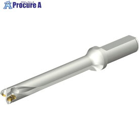 SANDVIK コロドリルDS20刃先交換式ドリル(465) DS20-D1588LX19-07 (465) 1本 ■▼216-4151 【送料都度見積】 ●KO521