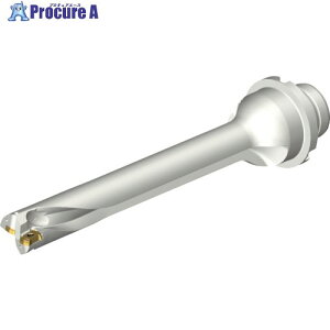 SANDVIK �R���h����DS20�n��������h����(465) DS20-D1800DM25-07 (465) 1�{ ����216-4168 �y�����s�x���ρz ��KO521