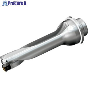 SANDVIK �R���h����DS20�n��������h����(465) DS20-D2200DM25-04 (465) 1�{ ����216-5646 �y�����s�x���ρz ��KO521