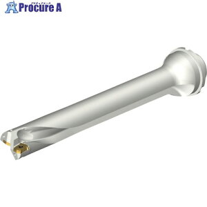 SANDVIK �R���h����DS20�n��������h����(465) DS20-D3650DM40-07 (465) 1�{ ����216-5655 �y�����s�x���ρz ��KO521