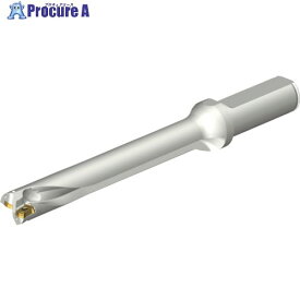 SANDVIK コロドリルDS20刃先交換式ドリル(465) DS20-D1666LX19-07 (465) 1本 ■▼216-5712 【送料都度見積】 ●KO521