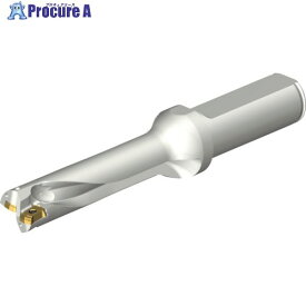 SANDVIK コロドリルDS20刃先交換式ドリル(465) DS20-D1588LX19-04 (465) 1本 ■▼216-5715 【送料都度見積】 ●KO521