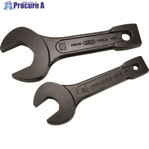 ASH �Ō��X�p�i150mm DS0150 1�� ����223-6291 ���ԏ�n��