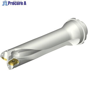 SANDVIK �R���h����DS20�n��������h����(465) DS20-D4285DM40-04 (465) 1�{ ����339-2494 �y�����s�x���ρz ��KO521