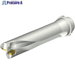 SANDVIK �R���h����DS20�n��������h����(465) DS20-D5300DM50-04 (465) 1�{ ����339-4113 �y�����s�x���ρz ��KO521