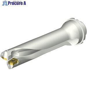 SANDVIK �R���h����DS20�n��������h����(465) DS20-D4200DM40-04 (465) 1�{ ����339-8868 �y�����s�x���ρz ��KO521