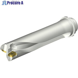 SANDVIK �R���h����DS20�n��������h����(465) DS20-D5600DM50-04 (465) 1�{ ����340-0403 �y�����s�x���ρz ��KO521