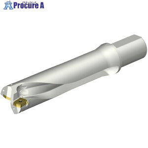 SANDVIK �R���h����DS20�n��������h����(465) DS20-D5600L50-04 (465) 1�{ ����351-0952 �y�����s�x���ρz ��KO521