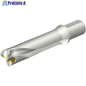 SANDVIK �R���h����DS20�n��������h����(465) DS20-D5300L50-04 (465) 1�{ ����351-2558 �y�����s�x���ρz ��KO521
