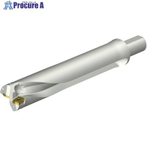 SANDVIK �R���h����DS20�n��������h����(465) DS20-D6033LX38-05 (465) 1�{ ����351-4116 �y�����s�x���ρz ��KO521